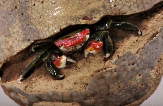 愛媛県今治市の生前整理や終活、遺品整理でお悩みなら好日堂にご相談してください。